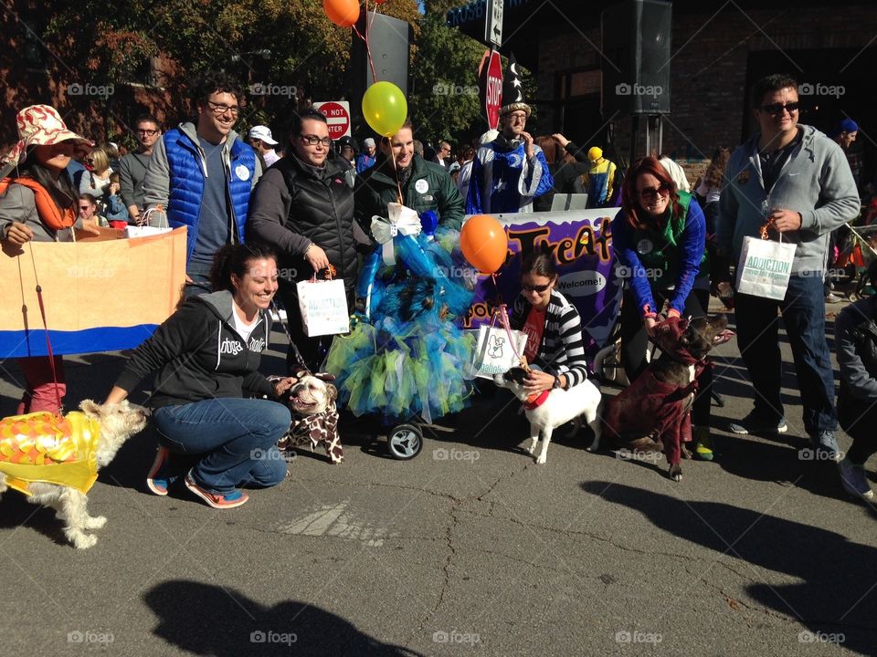 Pet parade and costume contest. The winners