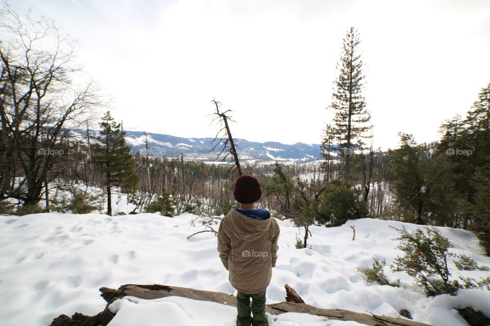 Snow, Winter, Cold, Wood, Mountain