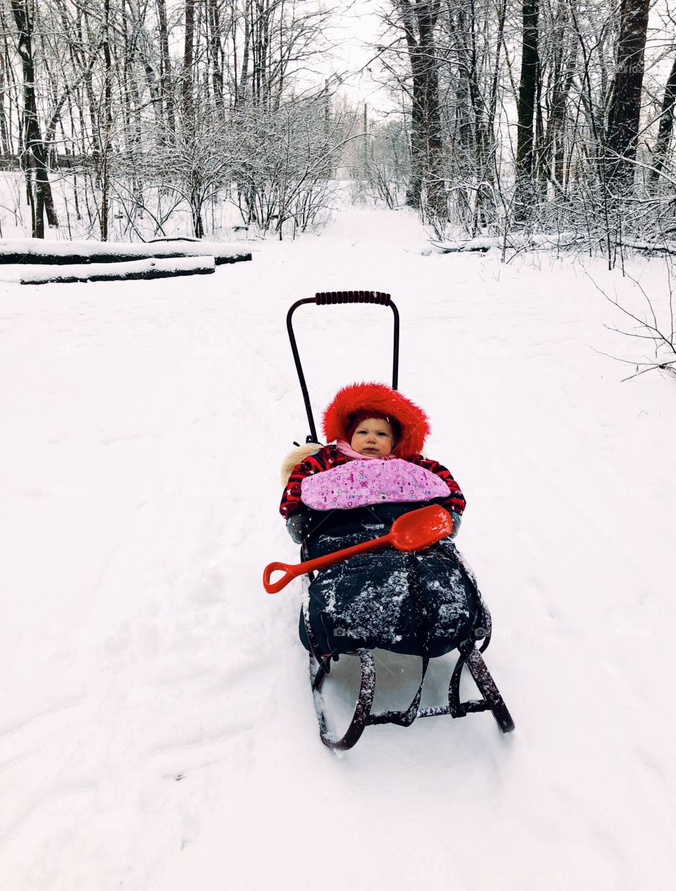 Winter forest and baby 