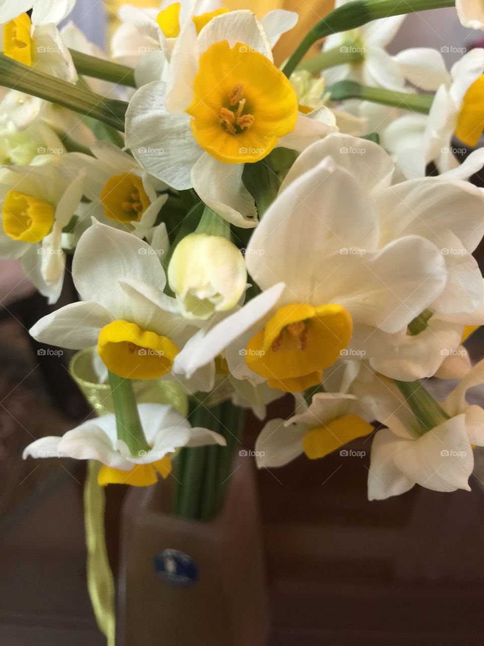 Easter, Flower, Tulip, Bouquet, Flora