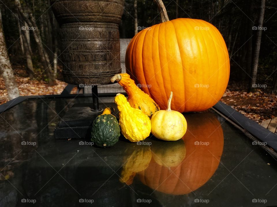 Seeing double; Halloween:
Pumpkins and Gourds