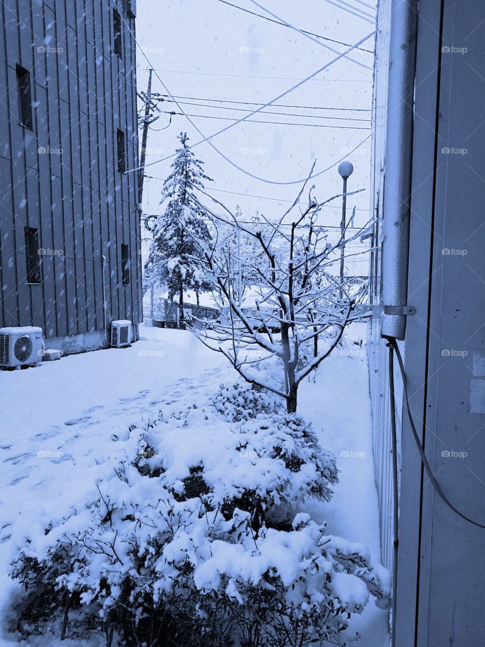 winter in our place. 
everywhere is full of white like a cloudy sky. 
its really a nice feeling stepping in this icy place😍😍