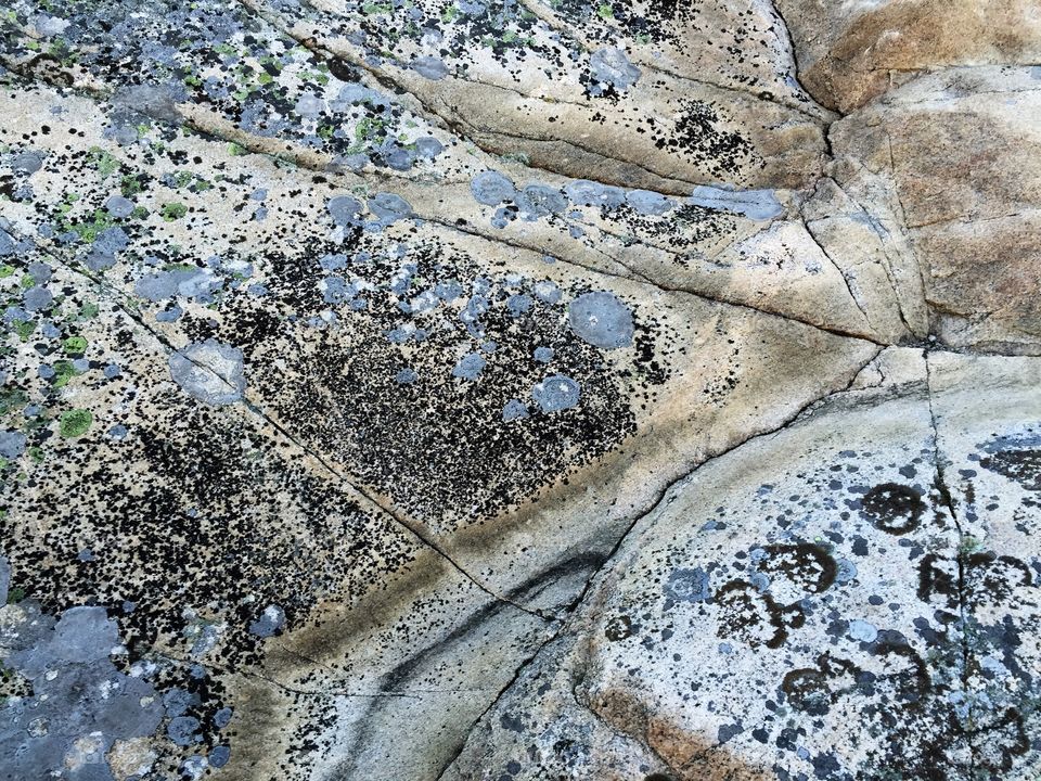 Close-up of granite rocks