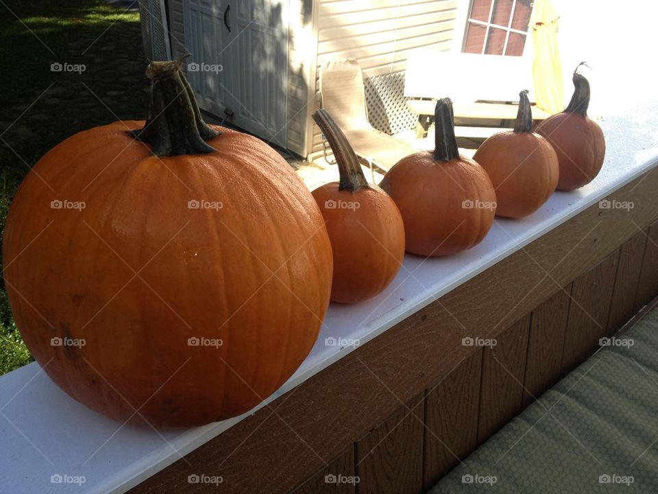 Pumpkins 