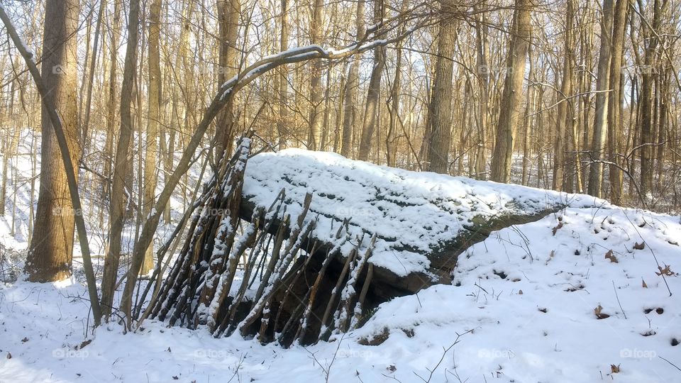 shelter made of sticks and boulder in snowy landscape
