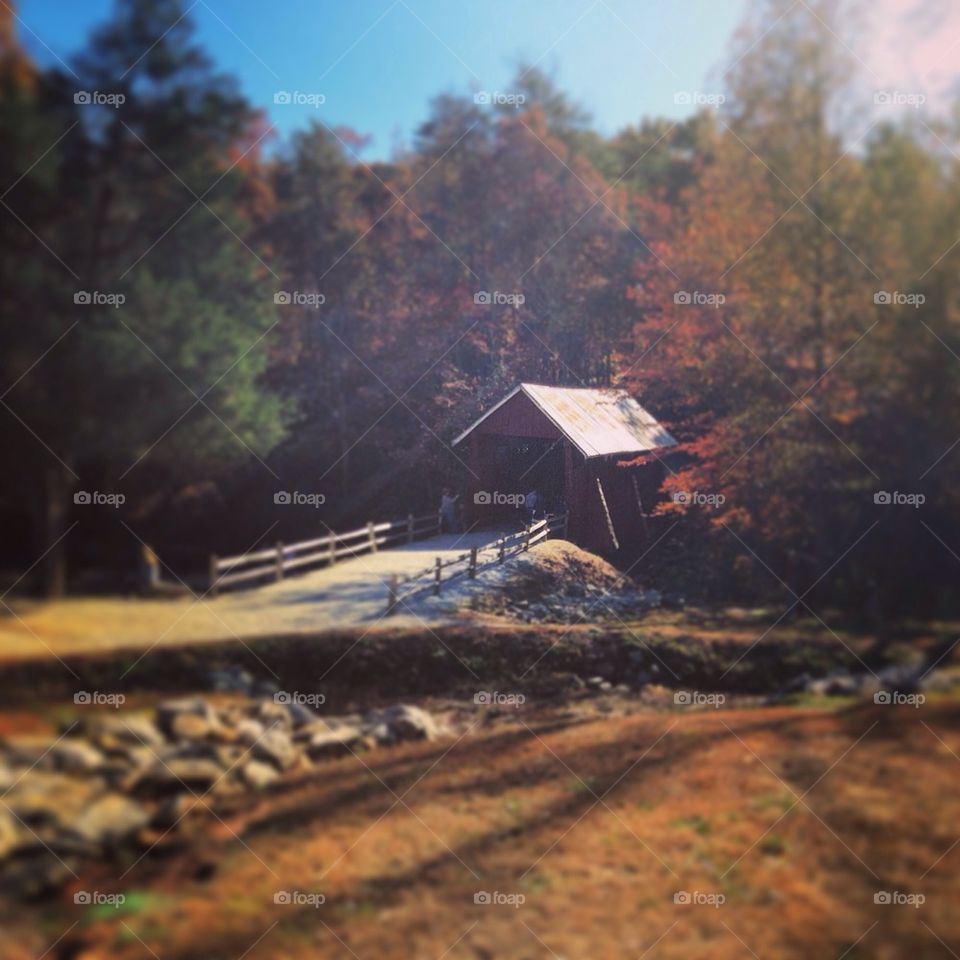 Campbell covered bridge 