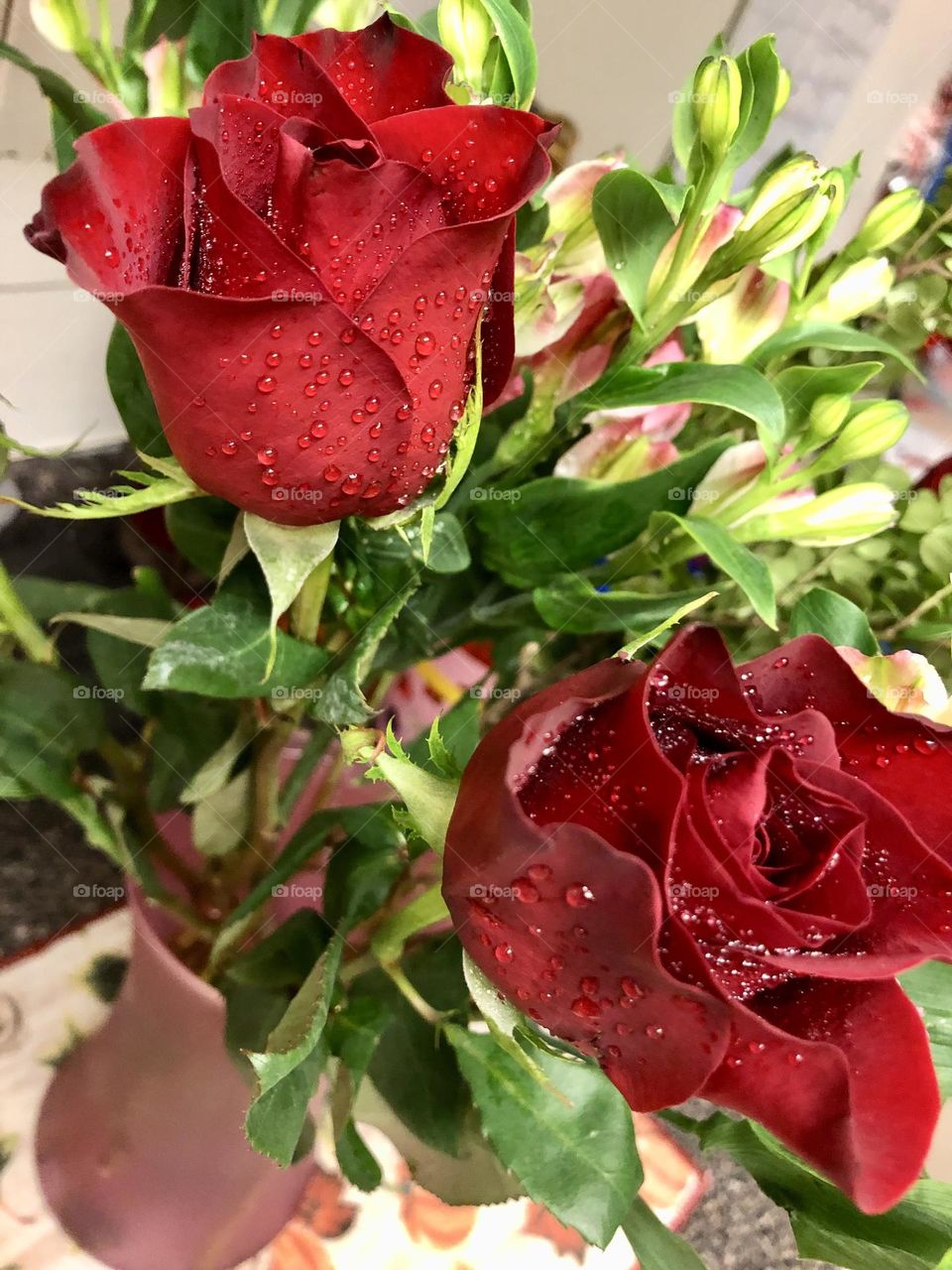 My flowers / close up to the red rose 🌹 buds 