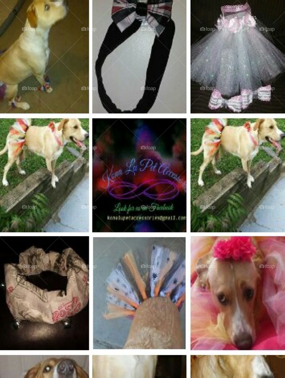 Pet Accessories modeling for my babies