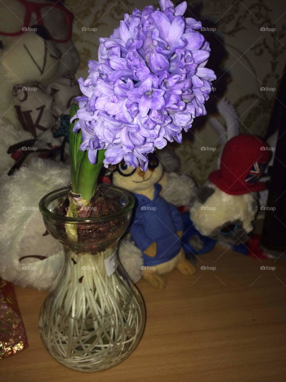 Nice flower bought from Beijing 