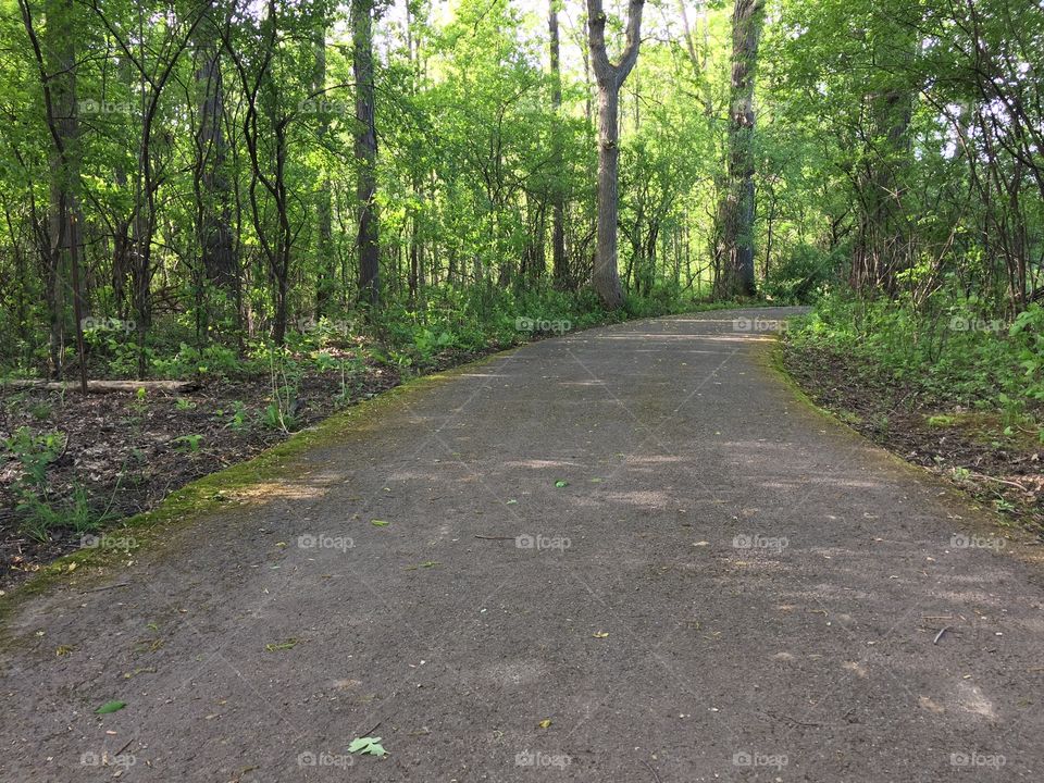 Trail at Meridian park 
Late afternoon 