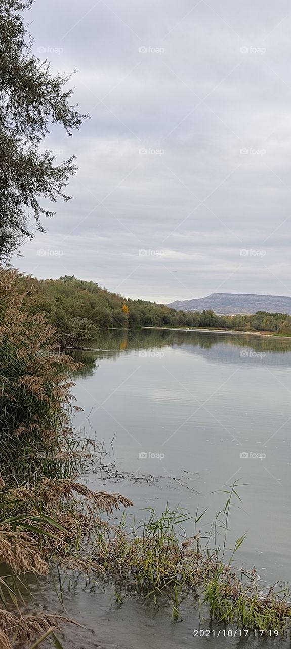 tarde.rio Ebro 31540