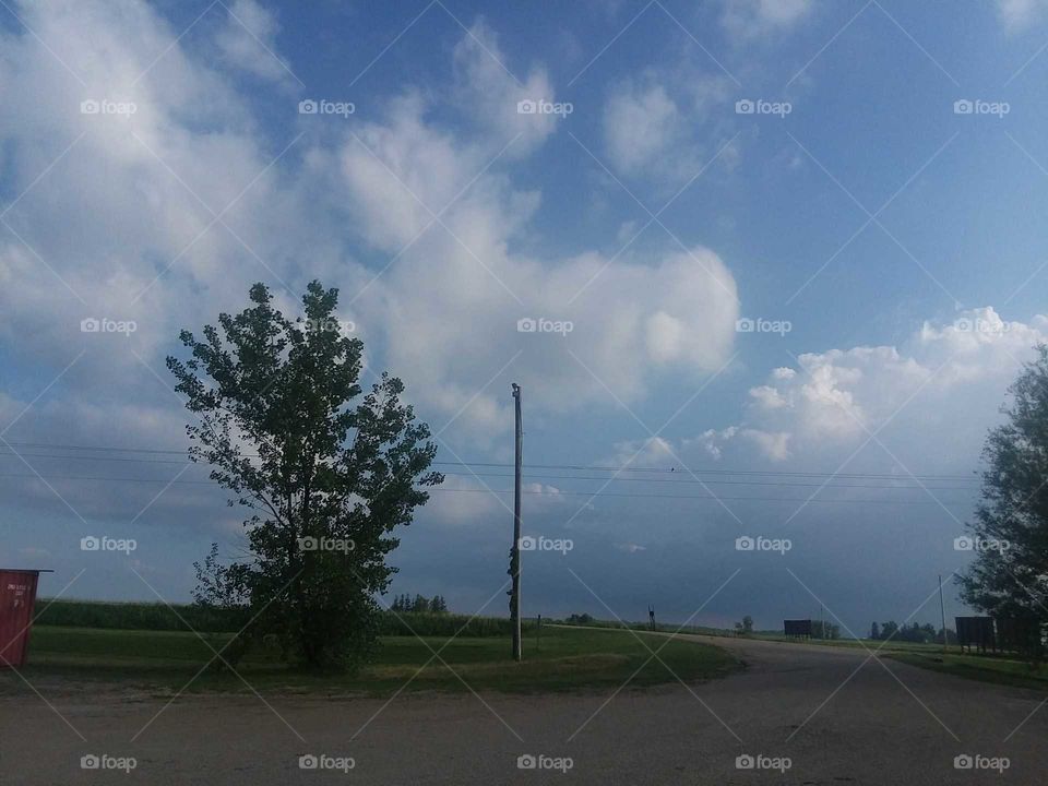 Blue skies have returned.clouds white trees