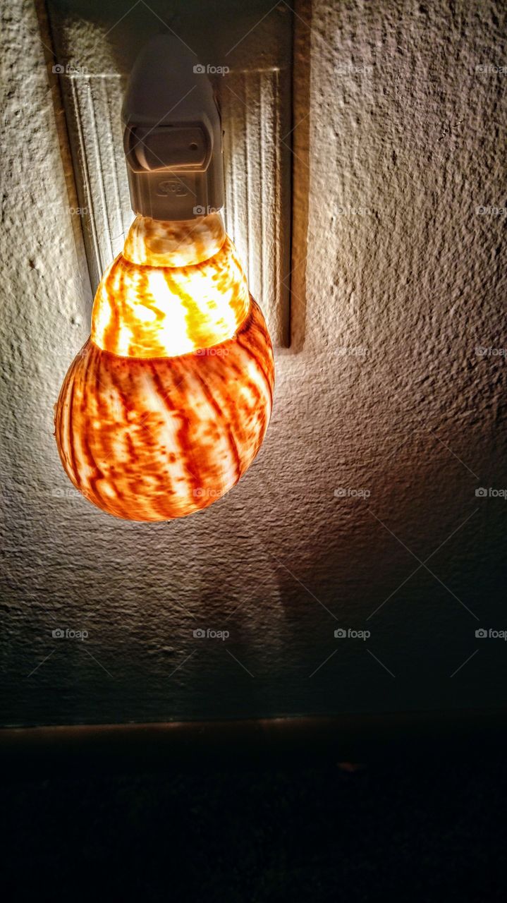 Shell Light