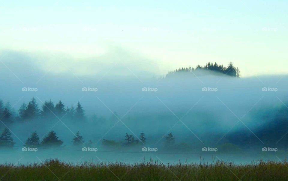 Fog covering the hill