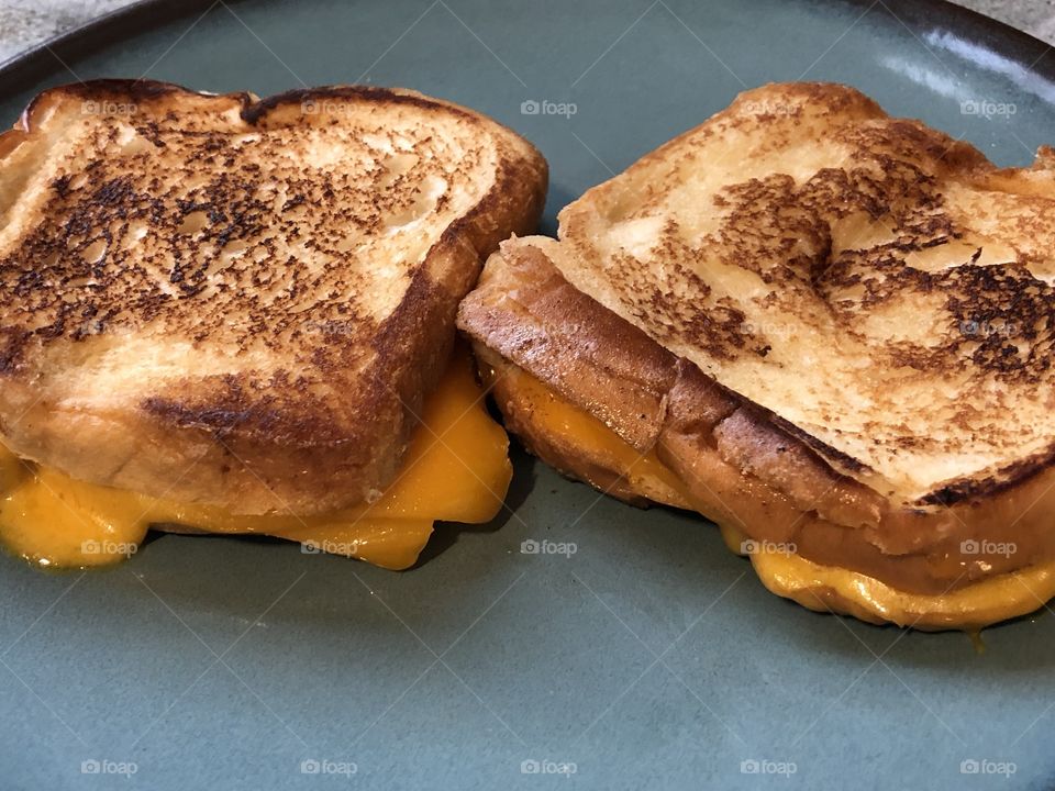 Grilled cheddar cheese sandwich