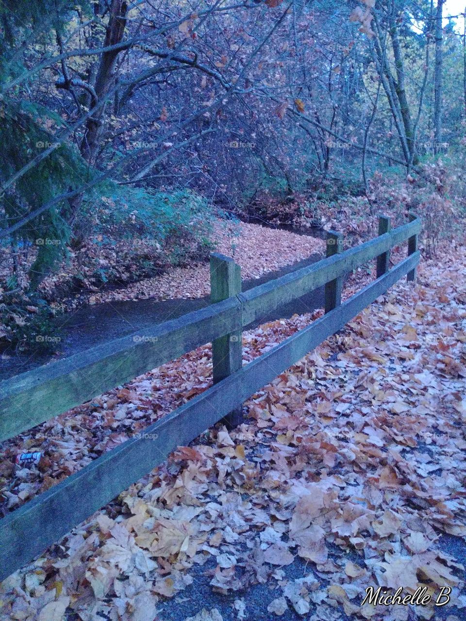 Fall in Hoy Creek