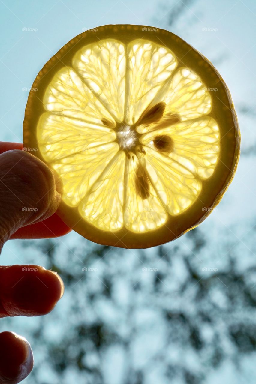 Lemon In The Sun, Closeup Of A Lemon, Take A Closer Look, Lemons And Sunshine, Summertime Lemons 