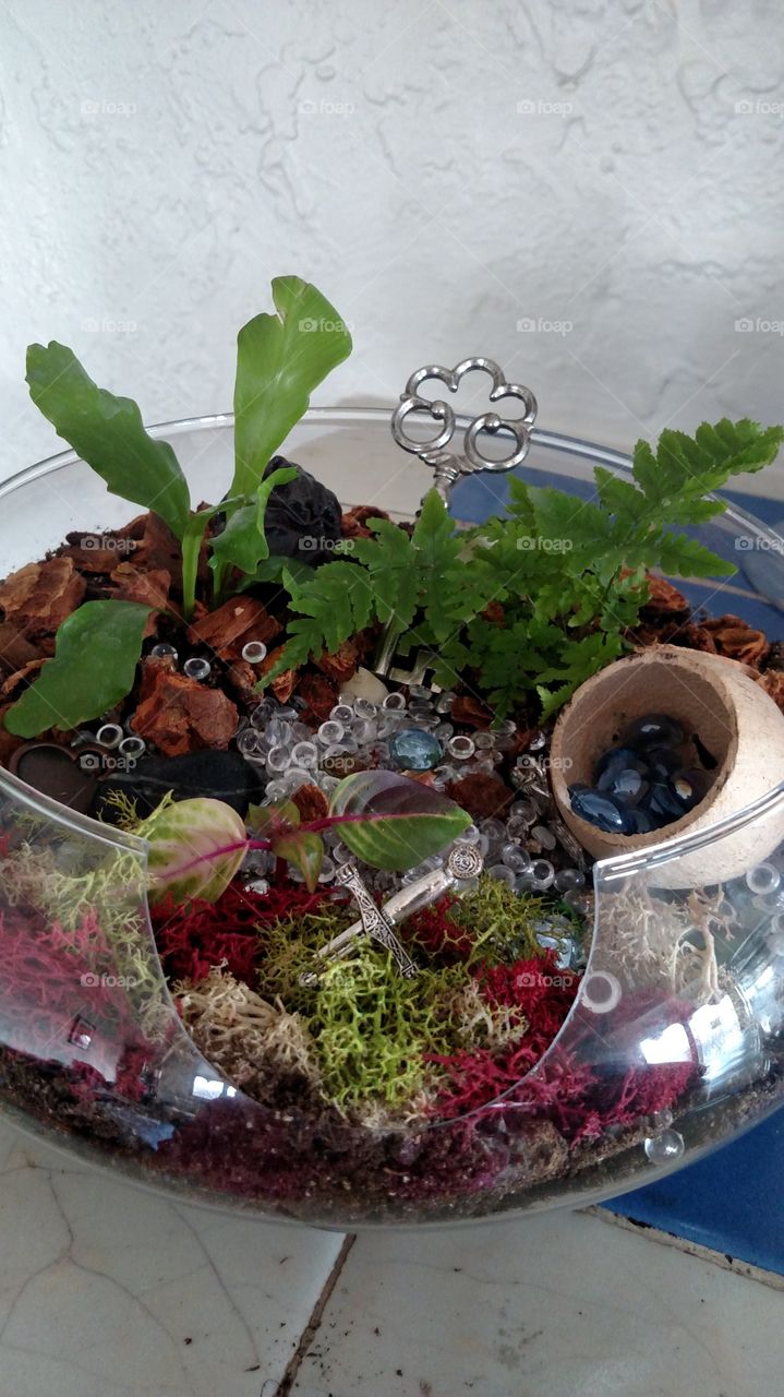 terrarium