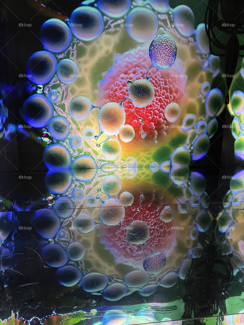 Beautiful exhibition. Amazing view and colors.