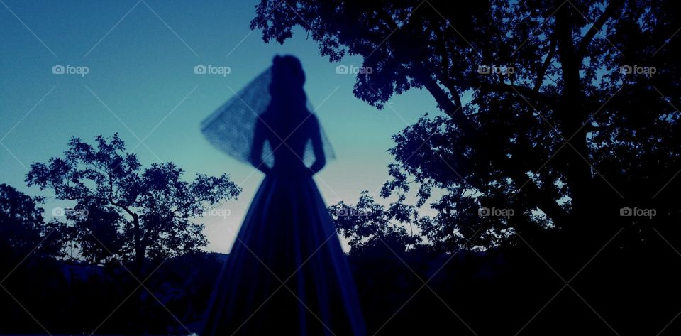 wedding bride silhouette