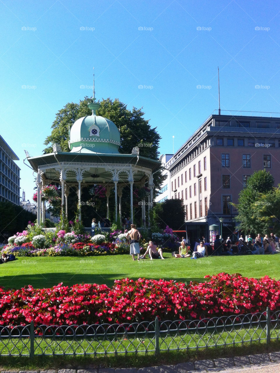 norway sky flowers city by greirik