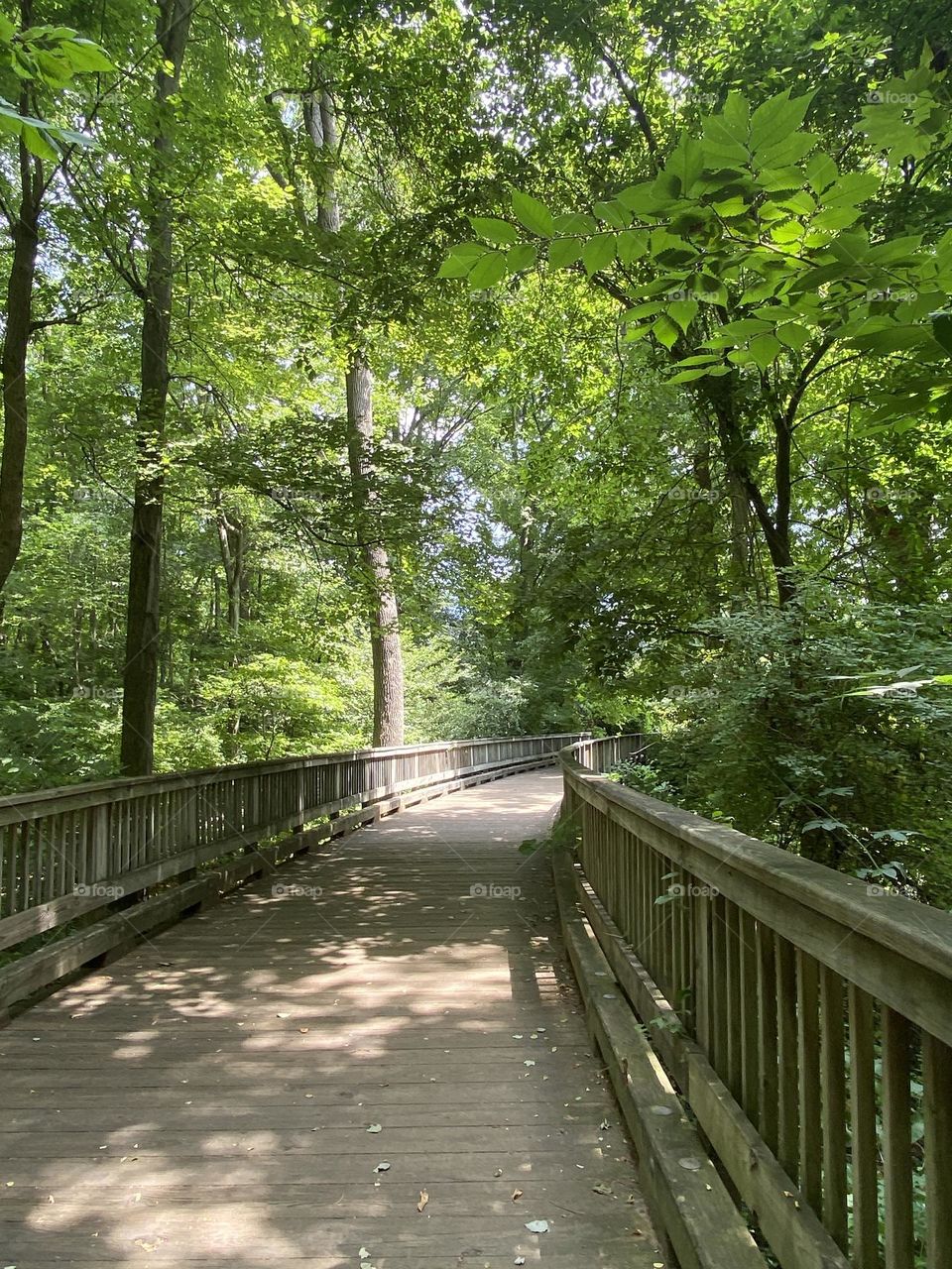A peaceful path over a bridge beneath bright green trees. The sky that is visible is a patch of blue peeking through. Shadows of leaves make patterns on the wood of the bridge. A beautiful setting for a summer walk. Cool and serene.