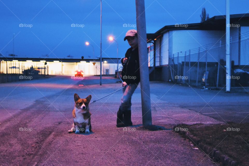 People, Dog, Street, One, Road