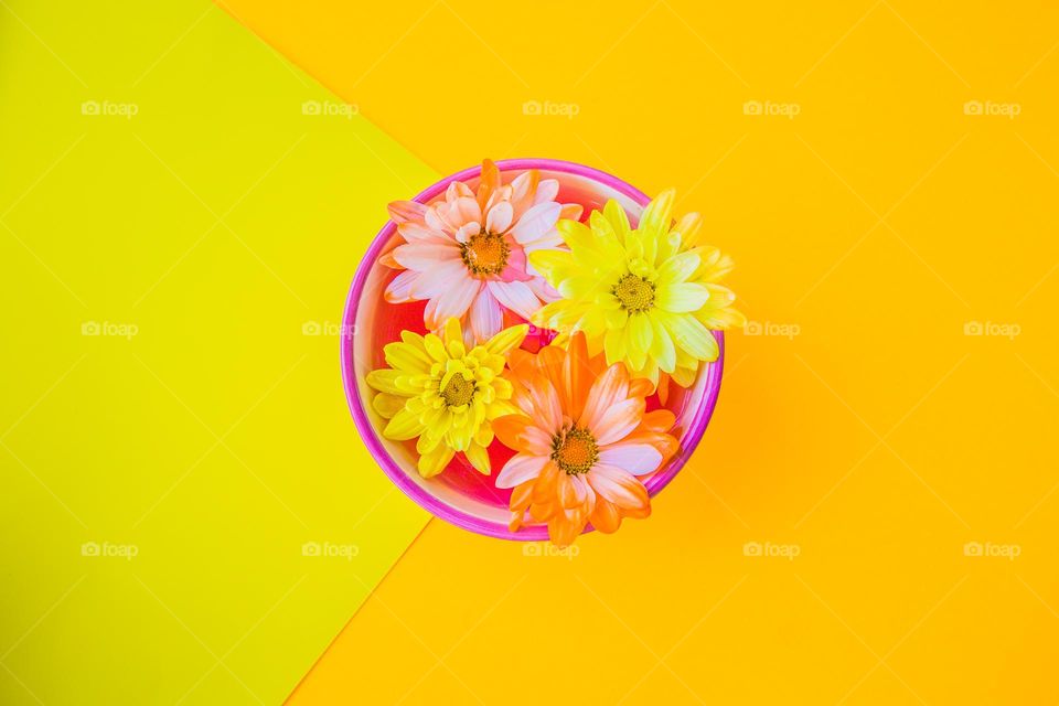 Bowl of Yellow and Orange Flowers with Yellow background and a pop of pink