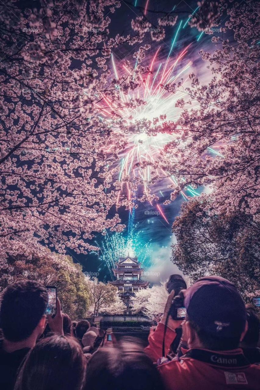 Fireworks, cherry blossoms and the pursuit of beauty