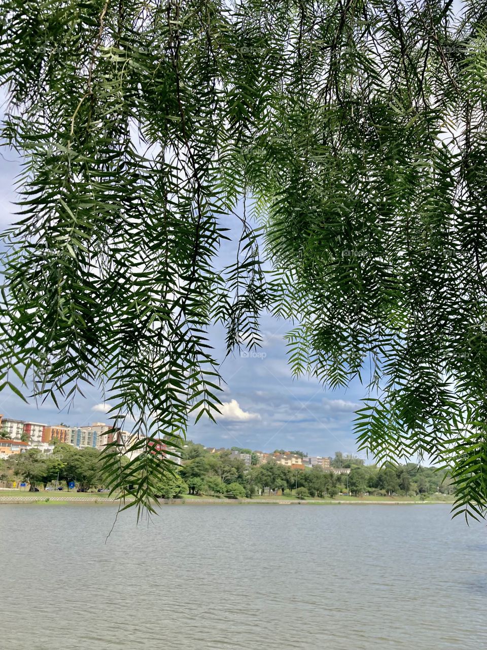 Is Lake Taboão beautiful or not? How hot… wanting to jump in the water to cool off… / Tá bonito o Lago do Taboão ou não tá? Que calor… vontade de pular na água pra refrescar…