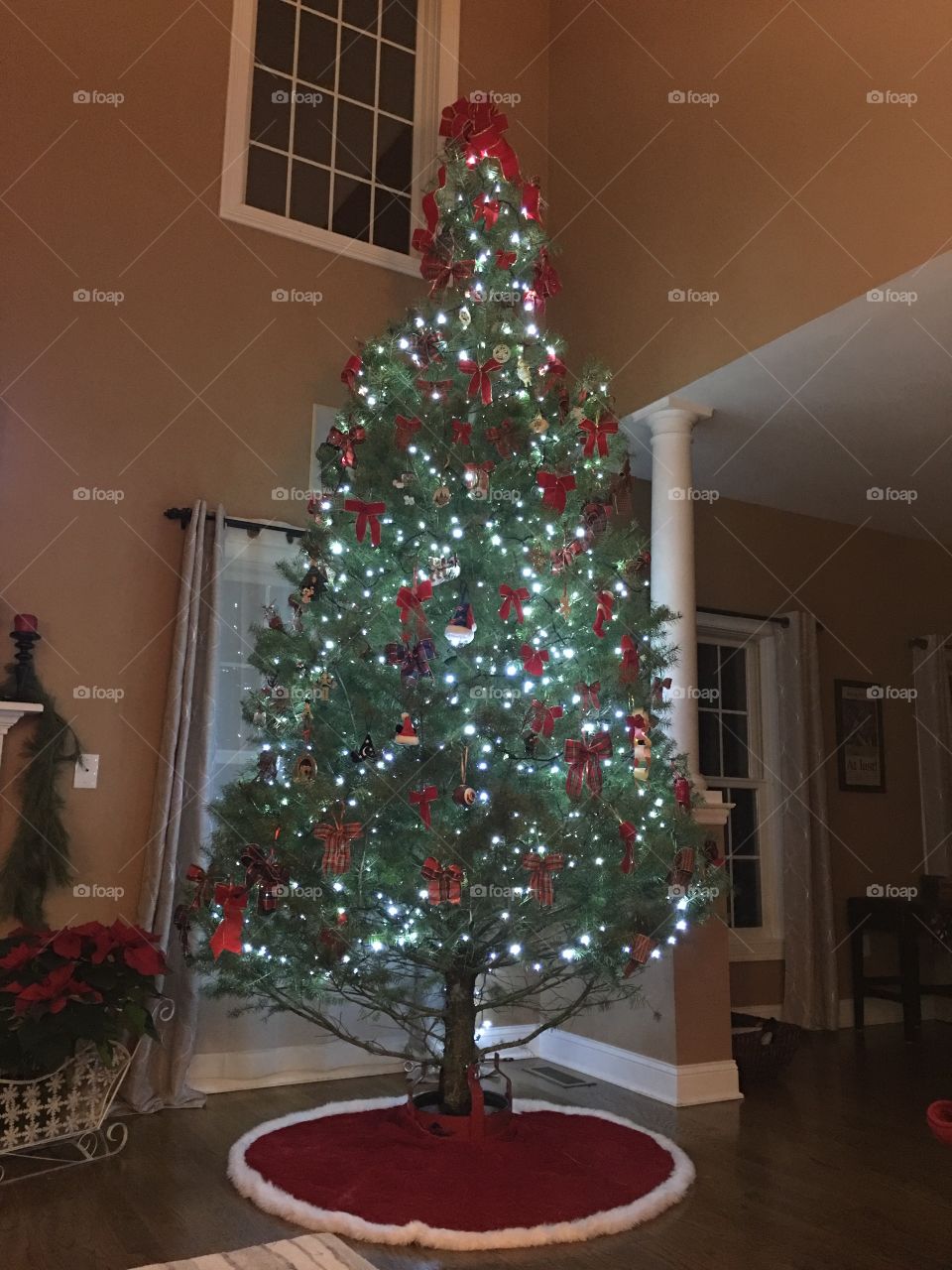 Connecticut Christmas tree 