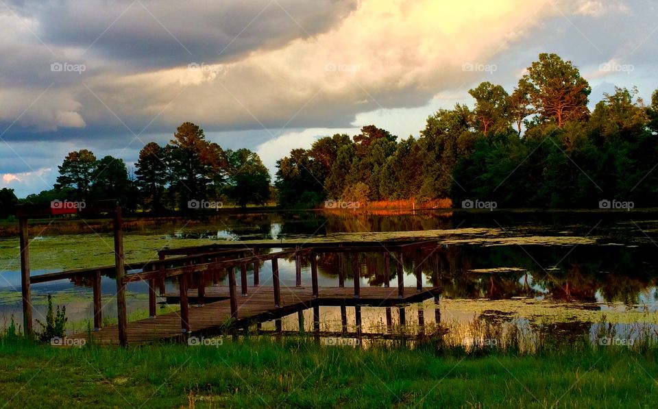 Pond 