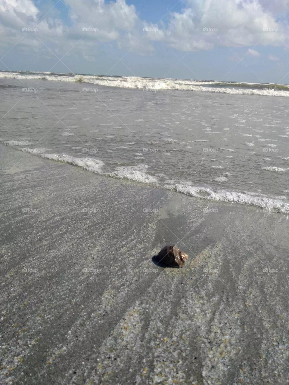 The beach and the sea