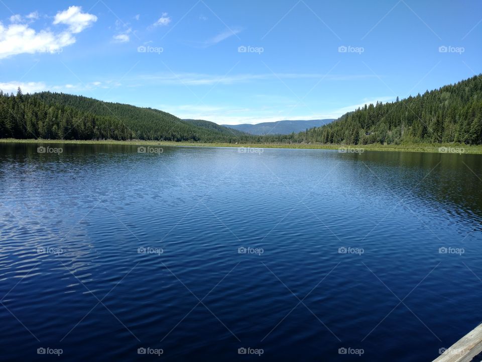 Lake In Forest