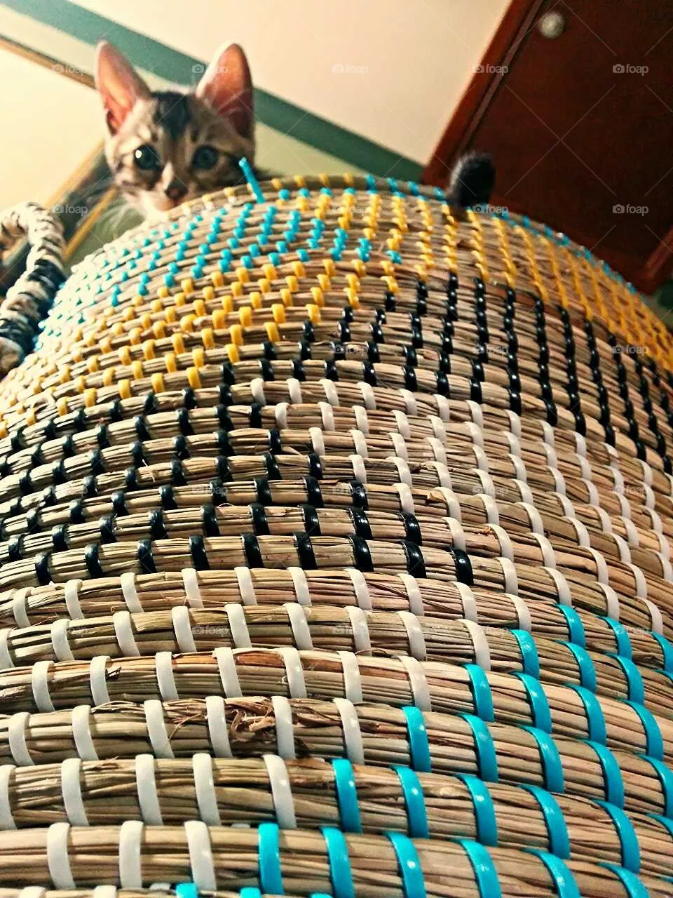 wicker