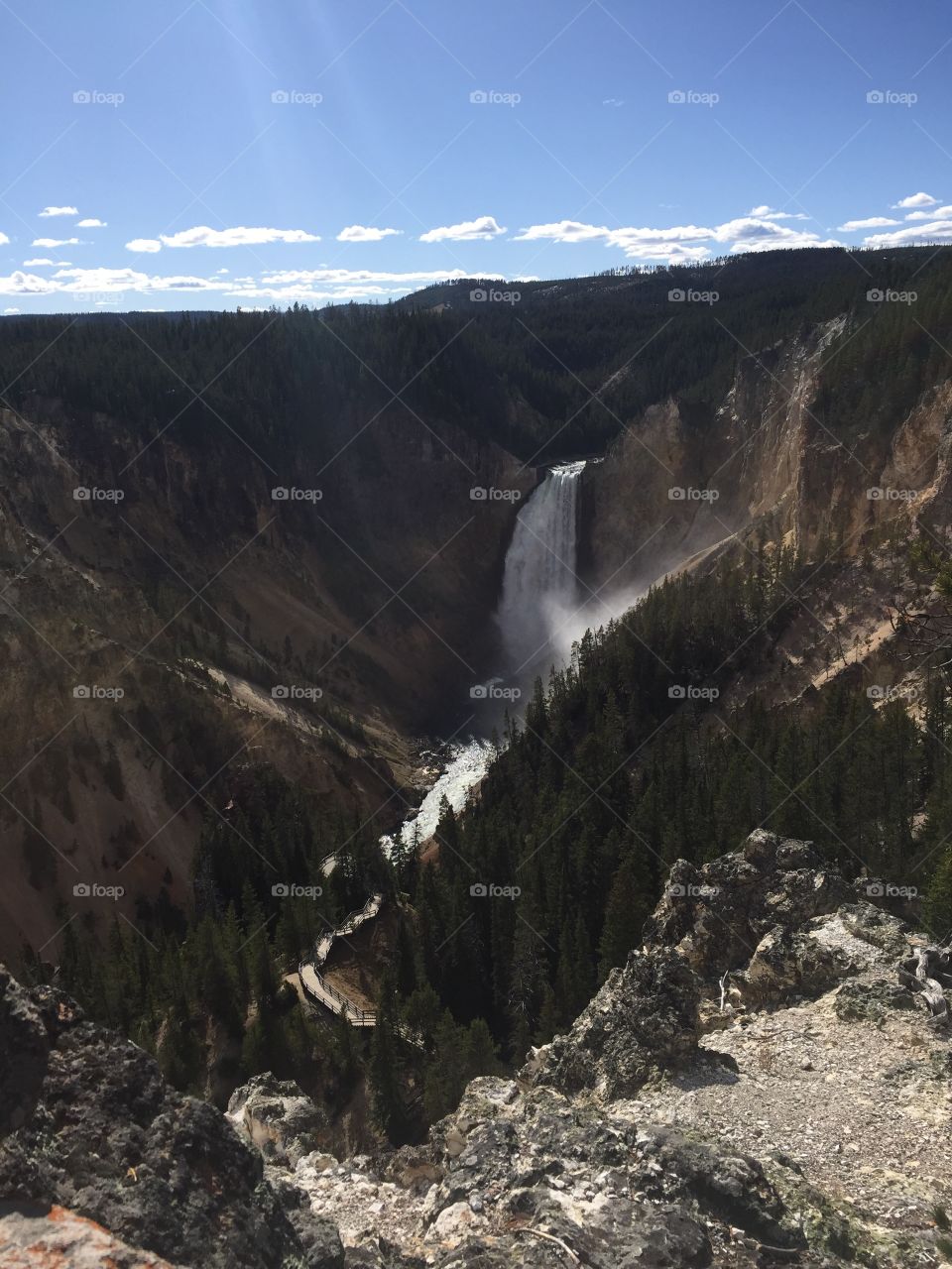 Yellowstone Falls