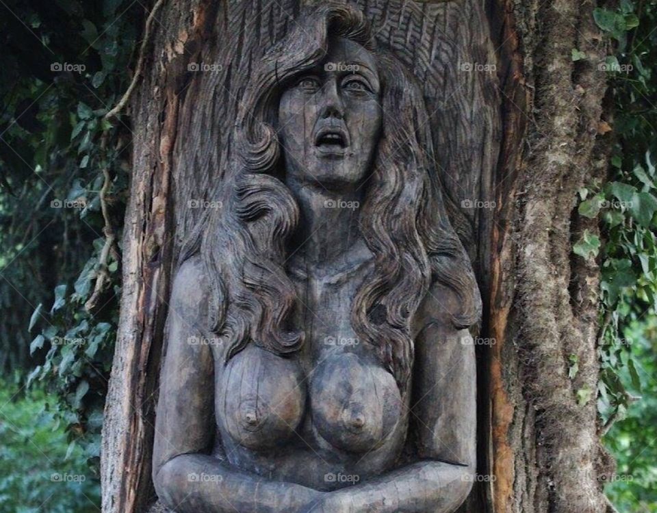 Wood sculpt