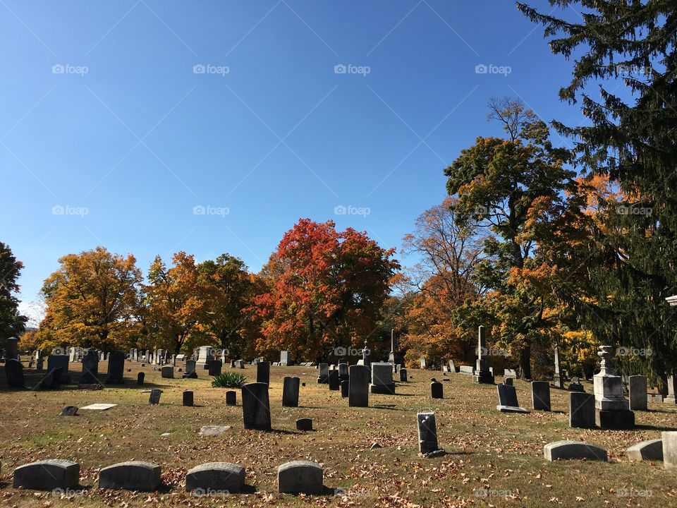 Cemetery in the fall