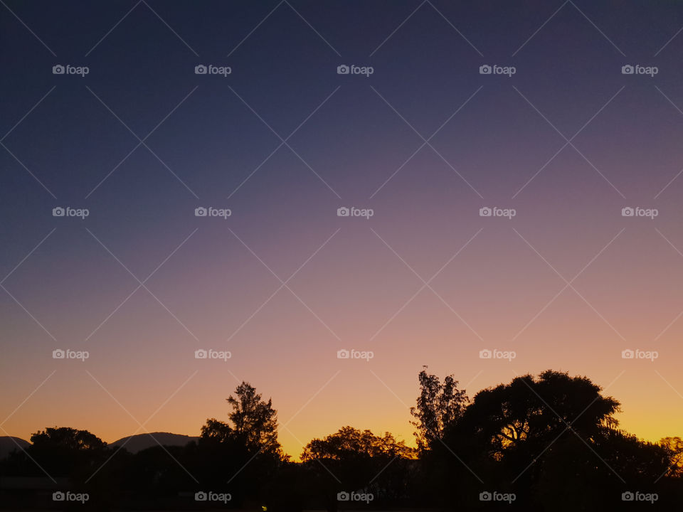 sunrise with tree tops