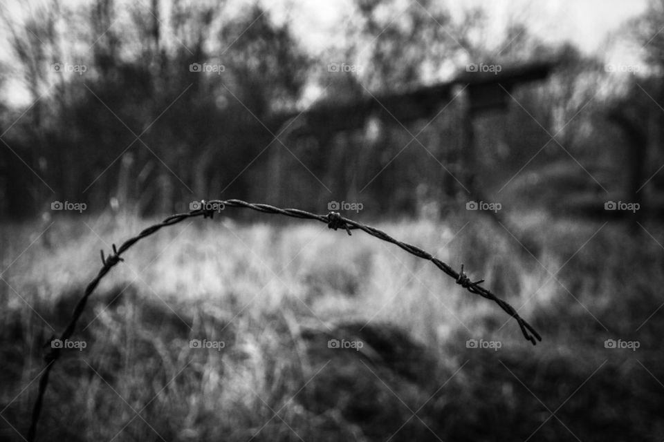 Barbed wire