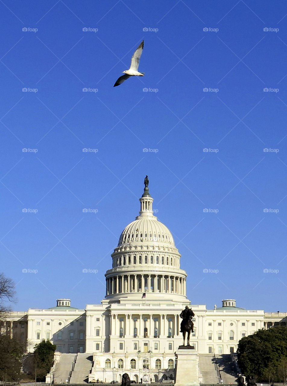 US Capitol Building, Washington DC, USA. 