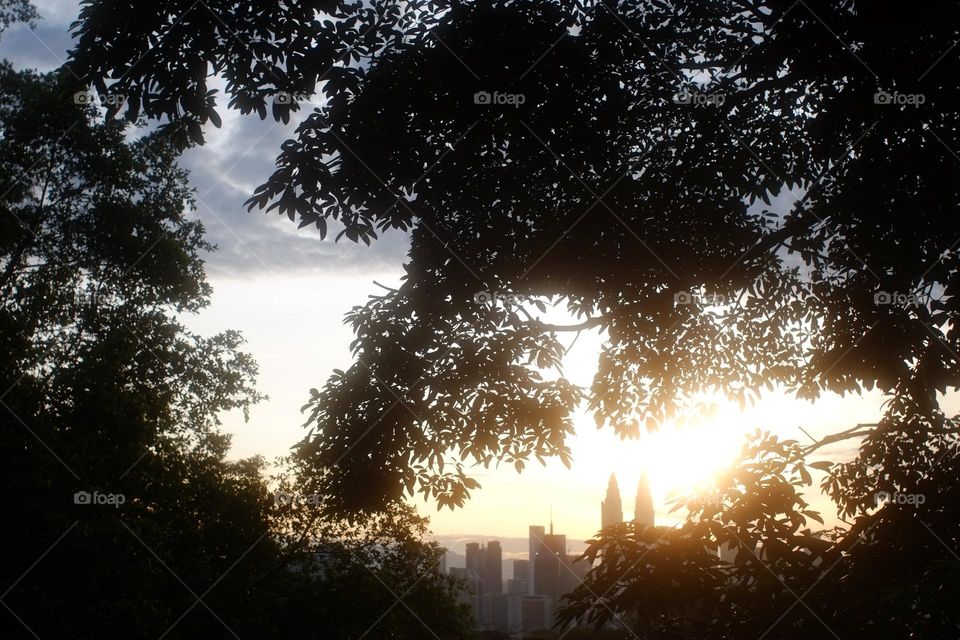 KLCC framed by trees