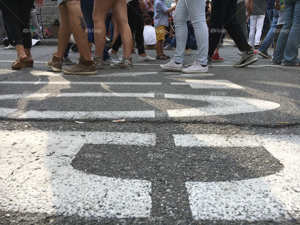 festa del gorgonzola 
