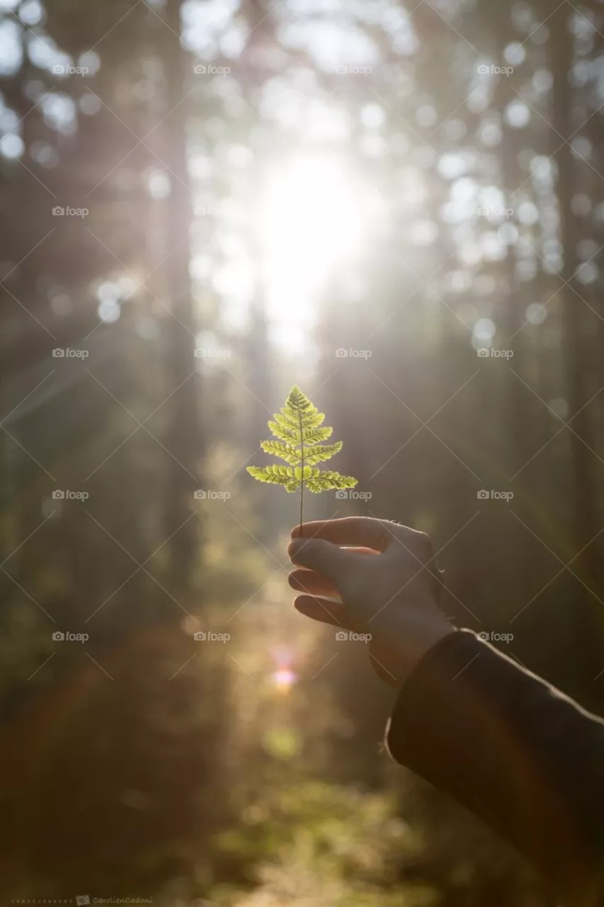 Nature