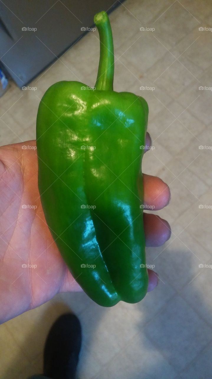 green pepper i grew