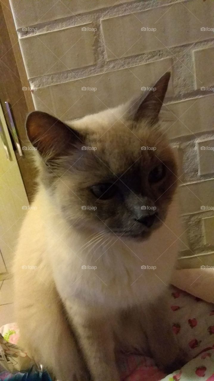 Alguém está bravinho. . .