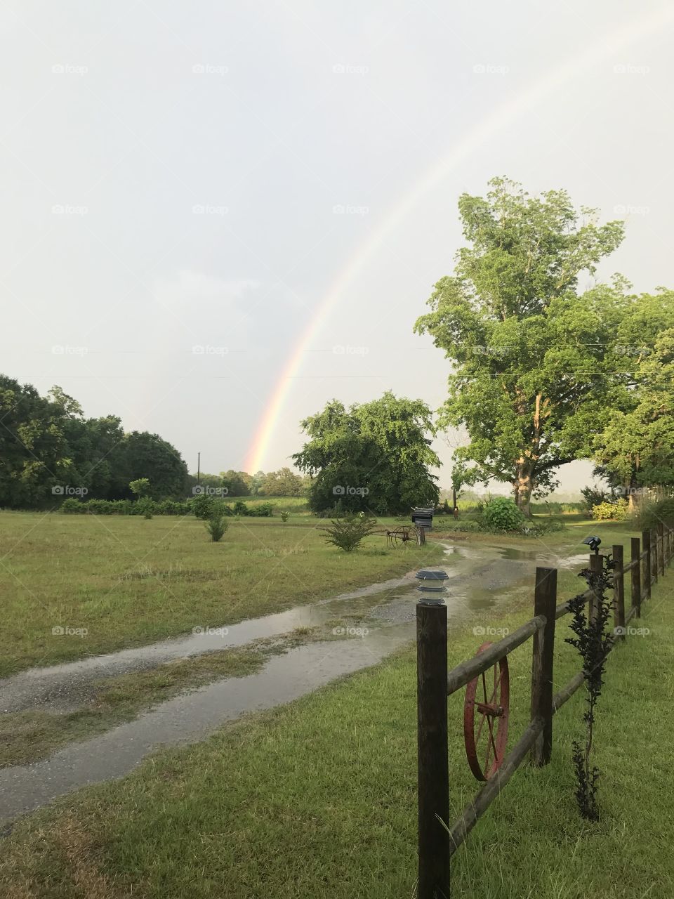 Summer rainbows 