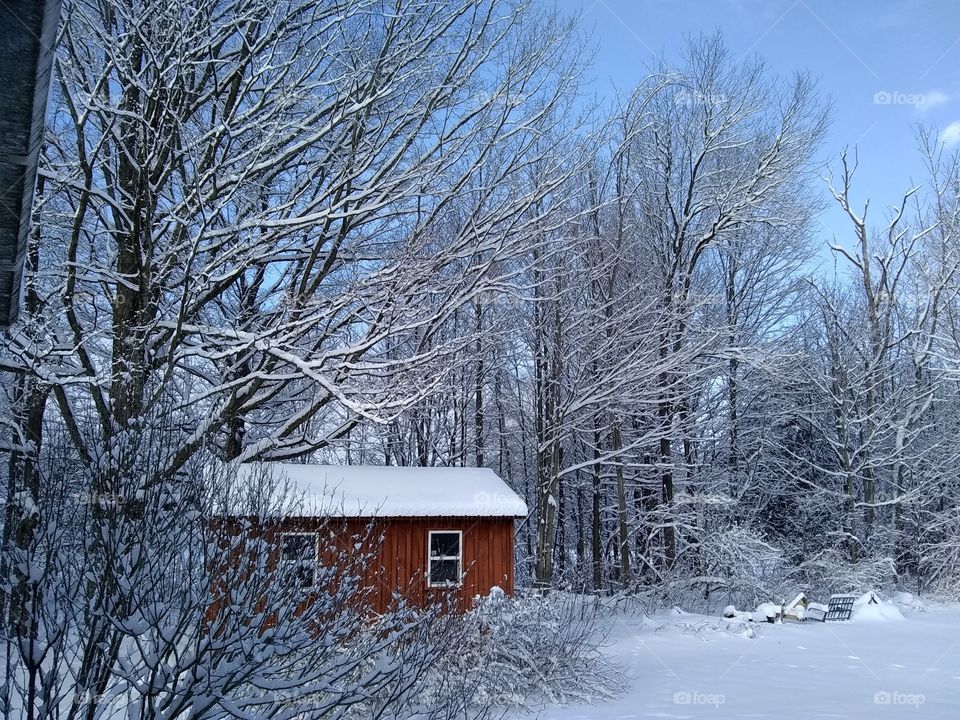 Beautiful winter morning
