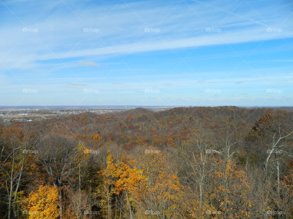 lookout in the autumn