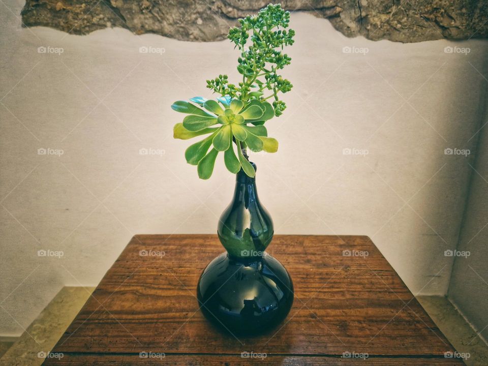 Plants in a Vase above a wooden table. White wall background with stones on the top.